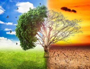 Climate Change May Trigger higher Suicide Rates